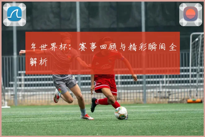 年世界杯:赛事回顾与精彩瞬间全解析