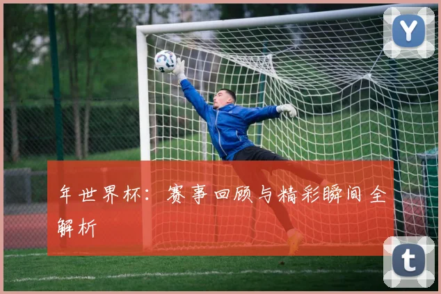 年世界杯：赛事回顾与精彩瞬间全解析